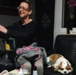 das zu meldende Bild