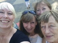 das zu meldende Bild