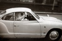 ein Bild aus dem Album